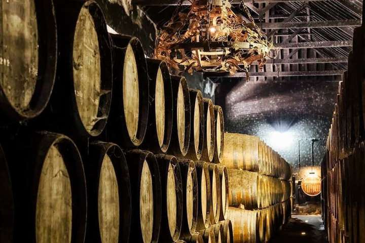 reguengos wine tour