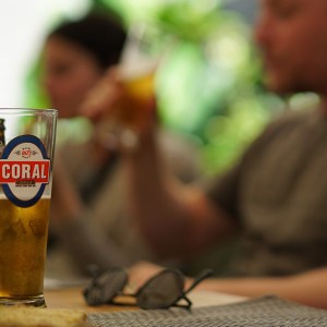 Poncha Workshop in Madeira Island