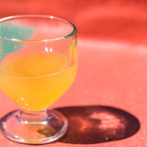 Poncha Workshop in Madeira Island