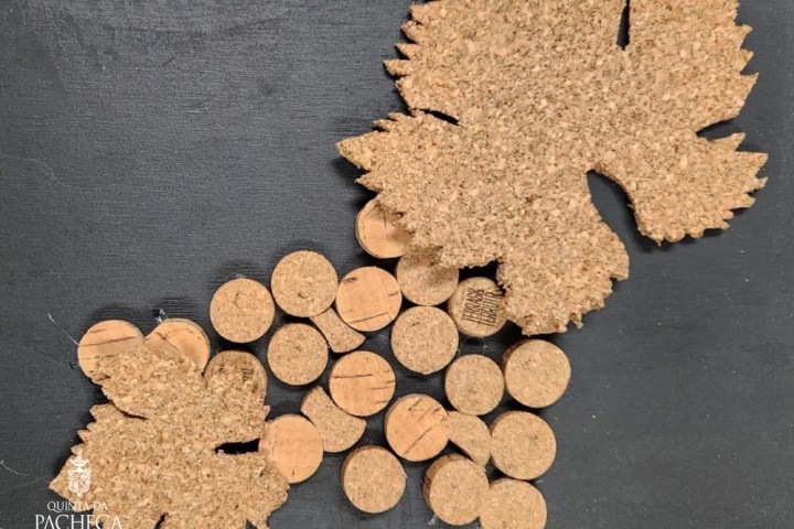 Douro Cork Art Experience