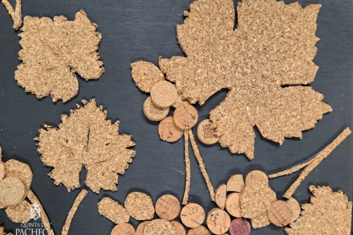 Douro Cork Art Experience