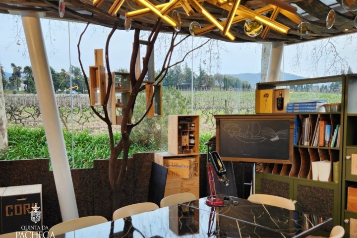 Douro Cork Art Experience