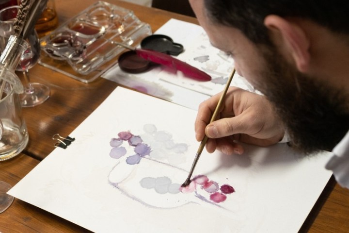 Douro Wine Painting tour