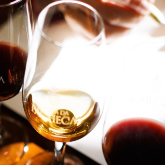 a close up of a wine glass