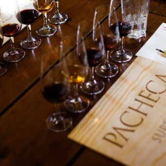 Douro Wine Painting tour