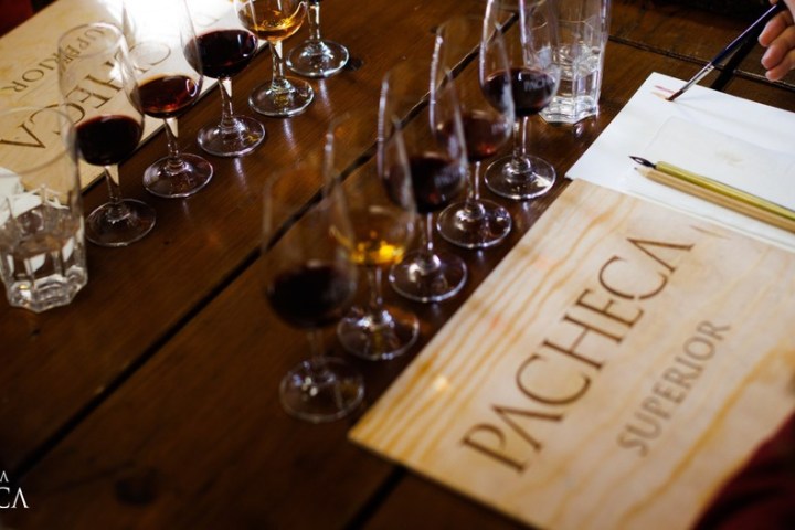 Douro Wine Painting tour