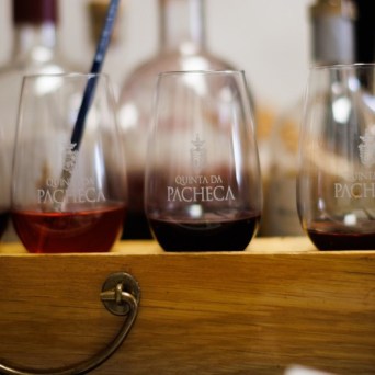 Douro Wine Painting tour