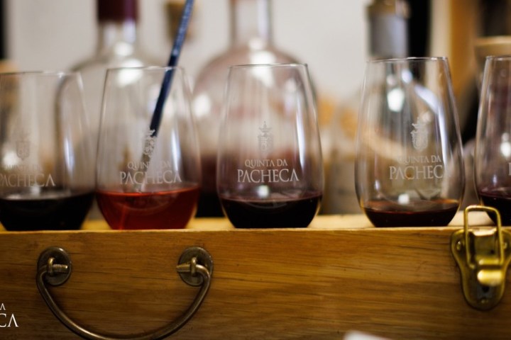 Douro Wine Painting tour