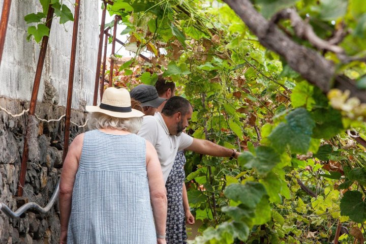 Funchal Farm-to-Table Tour