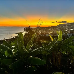 Funchal Farm-to-Table Tour