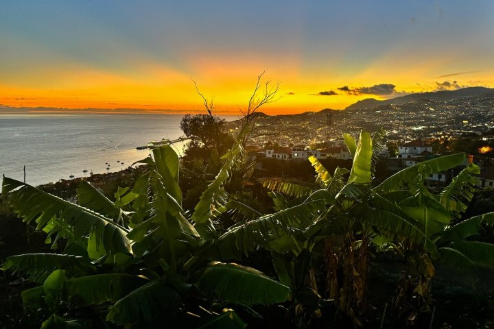 Funchal Farm-to-Table Tour