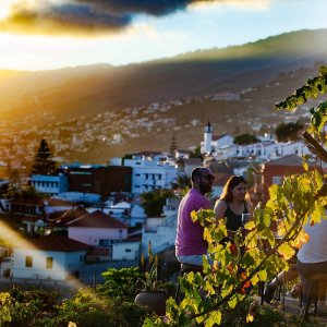 Funchal Farm-to-Table Tour