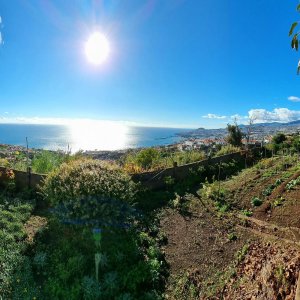Funchal Farm-to-Table Tour