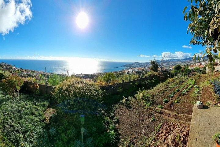 Funchal Farm-to-Table Tour