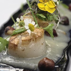 Douro winery food tour