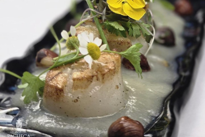 Douro winery food tour