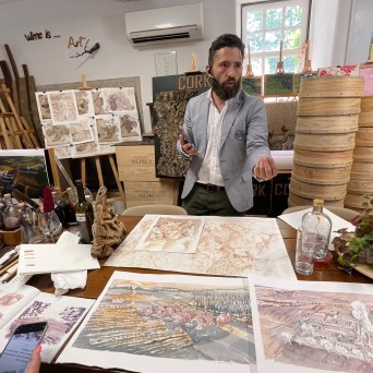 Douro Wine Painting tour