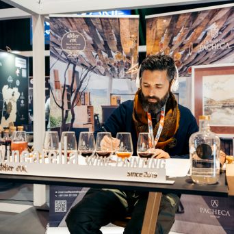 Douro Wine Painting tour