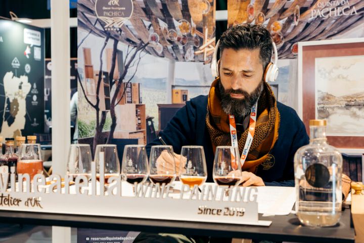 Douro Wine Painting tour