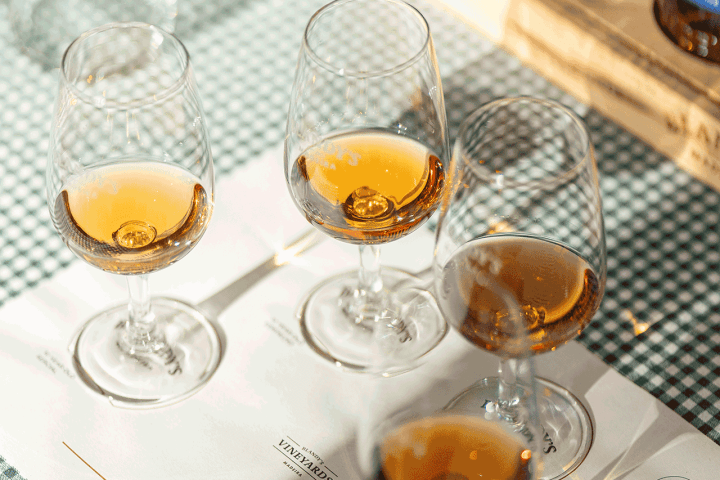 madeira vineyard tour