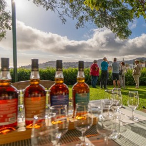 madeira vineyard tour