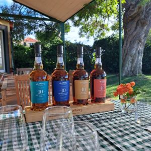 madeira vineyard tour