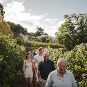 madeira vineyard tour
