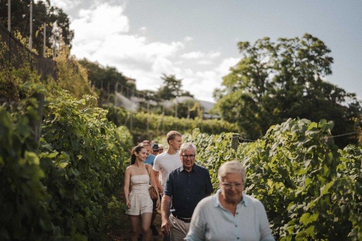 madeira vineyard tour