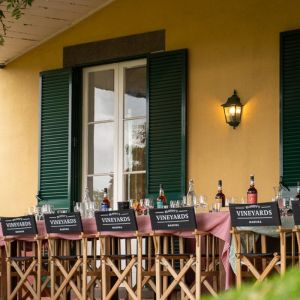 madeira vineyard tour