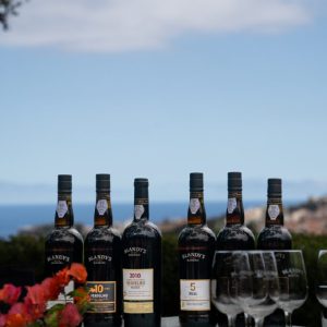 madeira vineyard tour