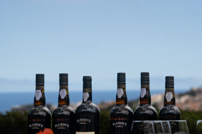 madeira vineyard tour