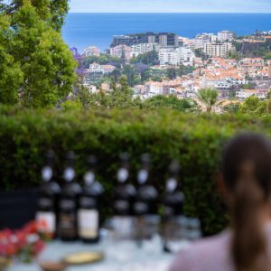 madeira vineyard tour