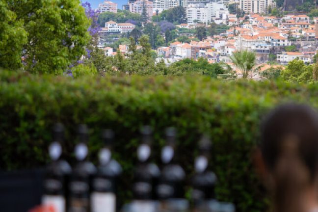 madeira vineyard tour