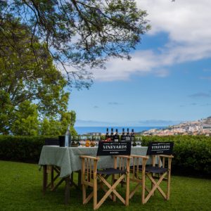 madeira vineyard tour