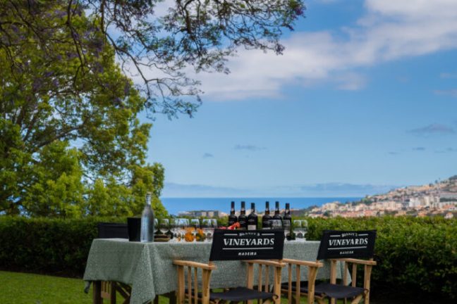 madeira vineyard tour