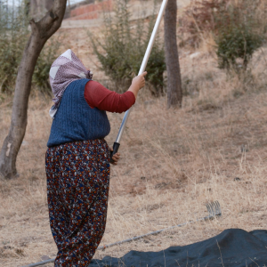 a person holding a baseball bat