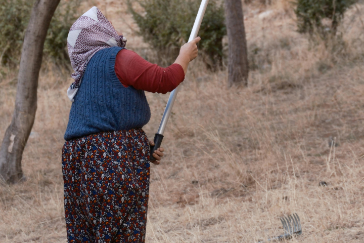 a person holding a baseball bat