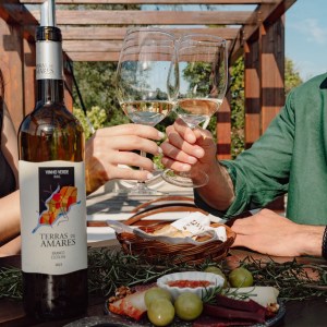 vinho verde & Tapas experience