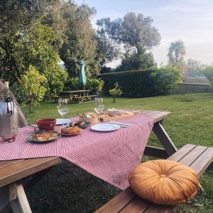 vinho verde & Tapas experience