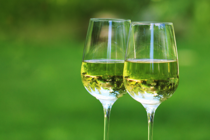 vinho verde workshop