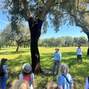 cork farm Tasting tour