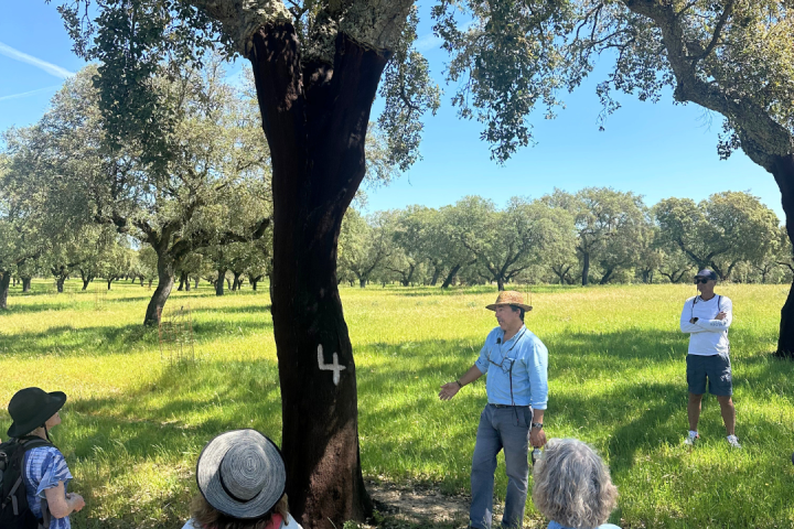 cork farm Tasting tour