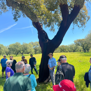 cork farm Tasting tour