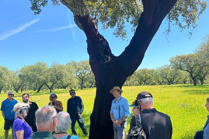 cork farm Tasting tour