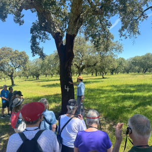 cork farm Tasting tour
