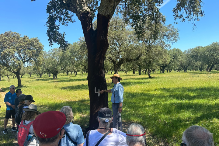 cork farm Tasting tour