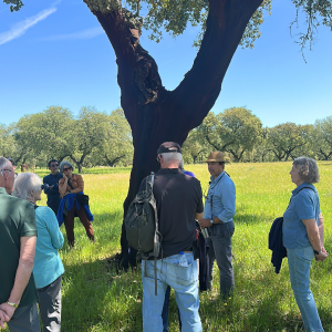 cork farm Tasting tour
