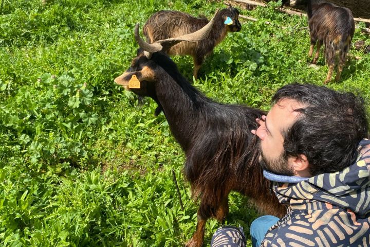 Batalha Animal farm tour