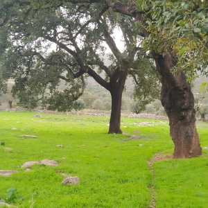 Batalha Animal farm tour