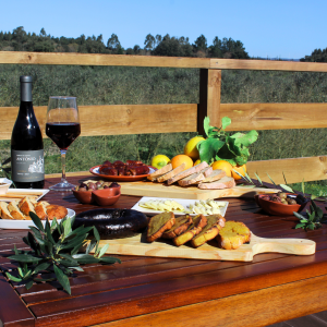 olive oil tour in Batalha